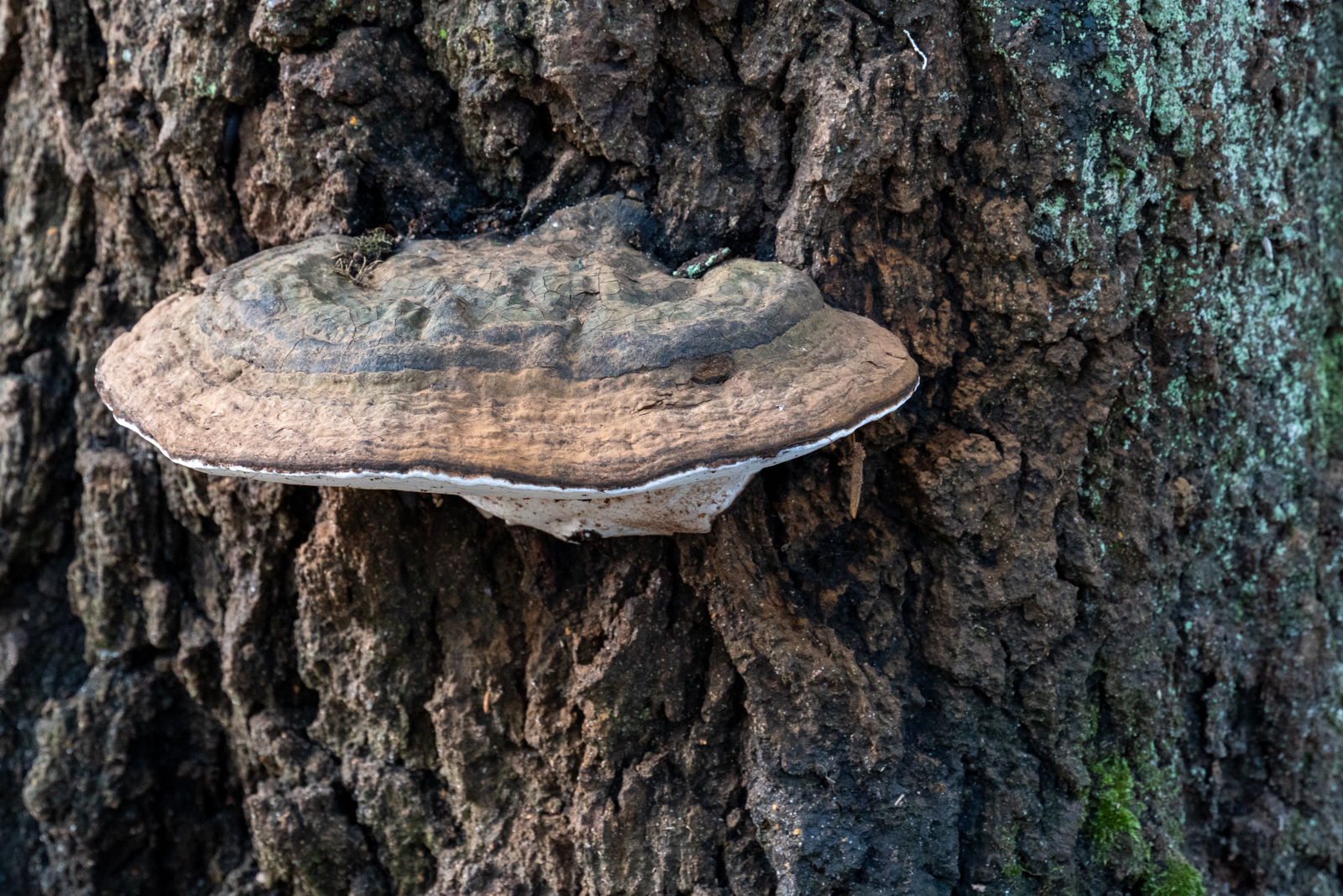 Photography by Chris Allington